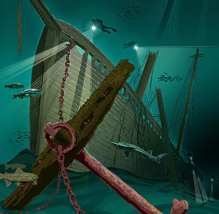 Illustrated underwater shipwreck with divers, anchor, chain, and fish