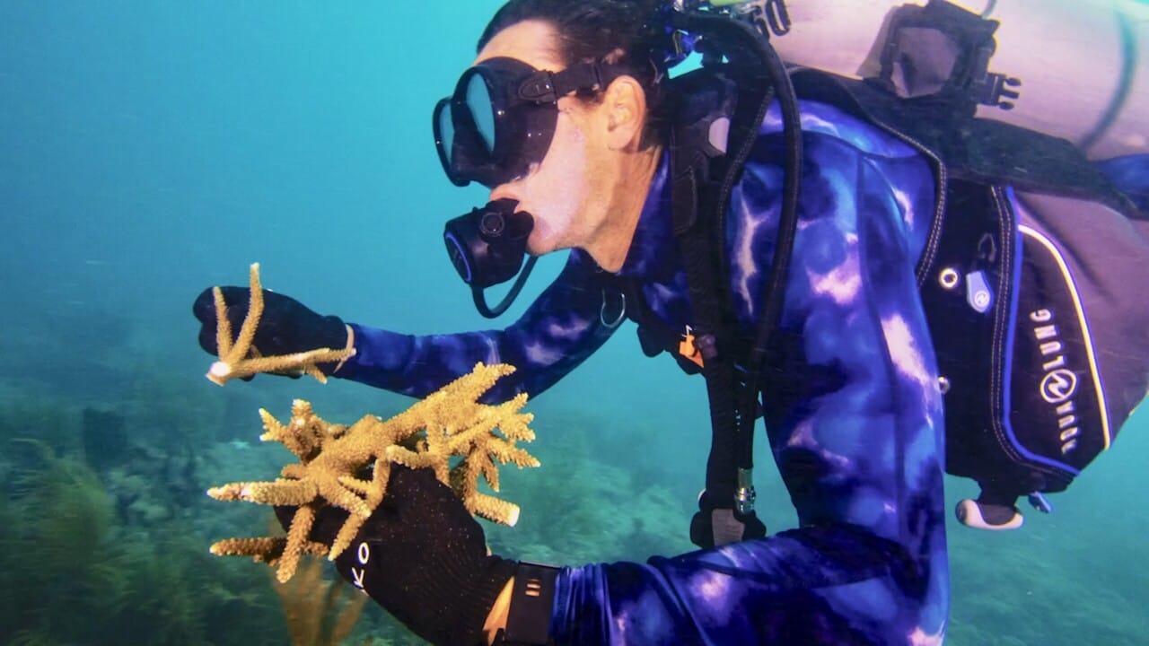 Diver with coral
