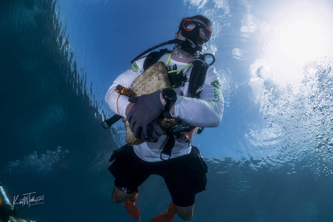 Scuba diver holding a sea sponge underwater in blue ocean