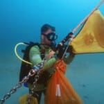 Scuba diver underwater holding orange net and yellow flag