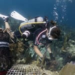 Scuba diver collecting debris during Dive Against Debris reef cleanup