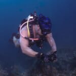 Scuba diver examining coral reef on ocean floor