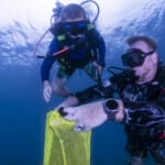 Two scuba divers underwater holding a yellow mesh collection bag