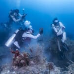 Scuba divers collecting debris from a coral reef underwater