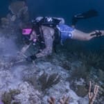 Tattooed scuba diver exploring coral reef underwater