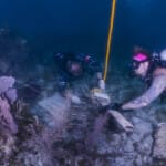 Two scuba divers examining artifacts on a coral reef underwater