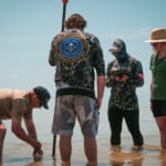 NOAA marine sanctuary researchers conducting fieldwork in shallow water