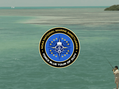 Tour Of Duty: Florida Keys National Marine Sanctuary