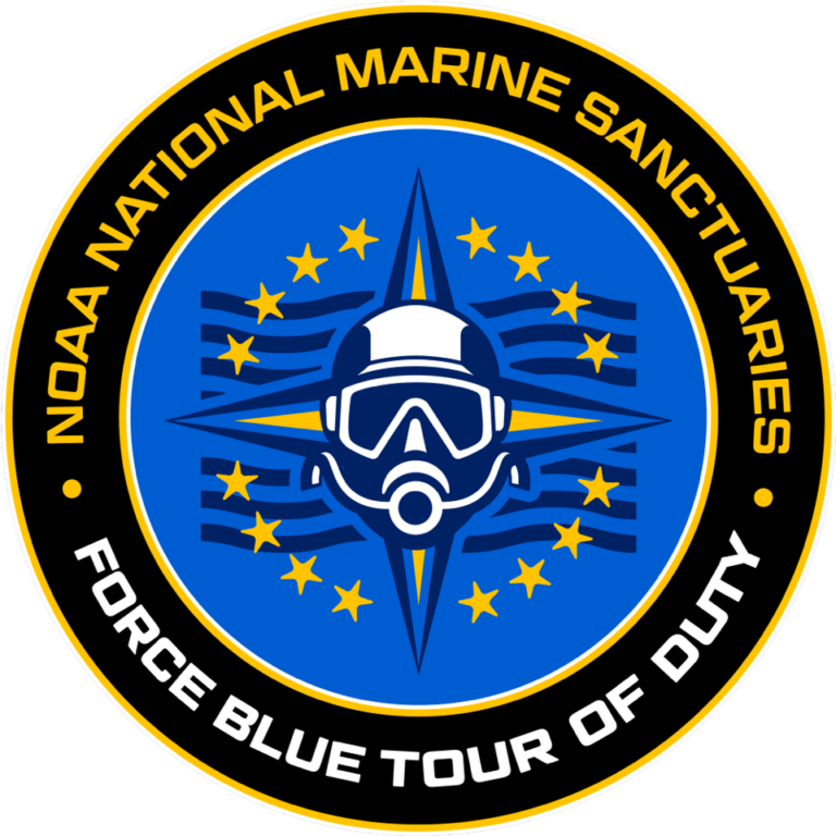 NMS Tour of Duty FORCE BLUE