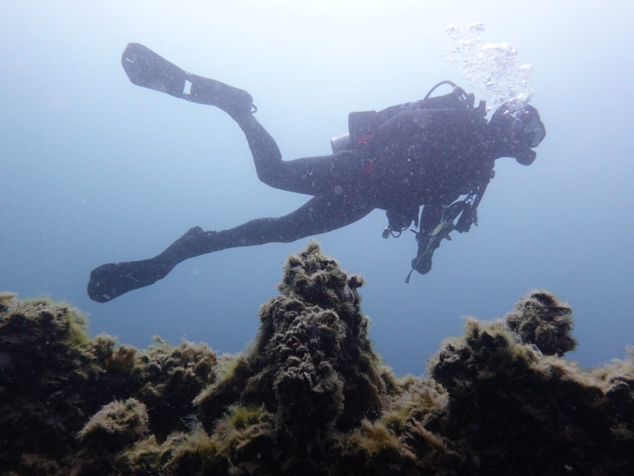 Silhouette of diver 